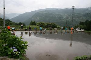 田んぼの学校 田植え (7).JPG