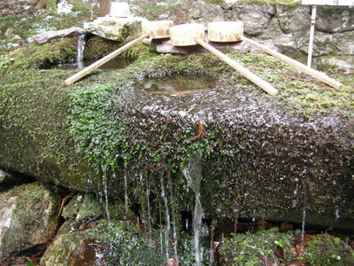 中津の大宮八幡神社 002.jpg