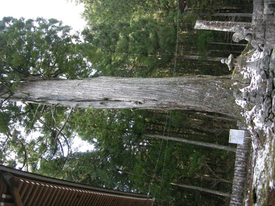 中津の大宮八幡神社 006.jpg