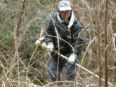 身の丈をこえる雑草を刈り払う.jpg