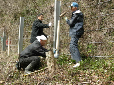 植樹の作業.jpg