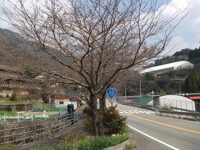 DSCF0278　３月２８日.jpg