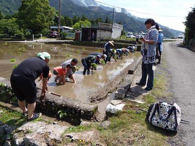 田植え２４ 008.jpg