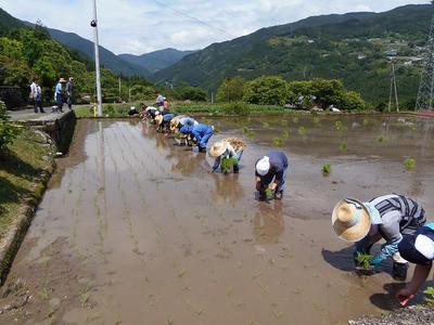 田植え２４ 010.jpg