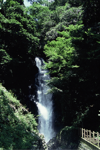 05.紀念の滝（桜の里づくり起点）