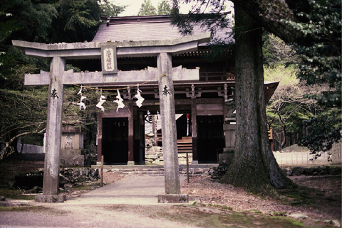 18.大宮八幡神社と大杉・巨木群